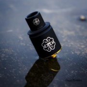 dotmod-petri-v2.1