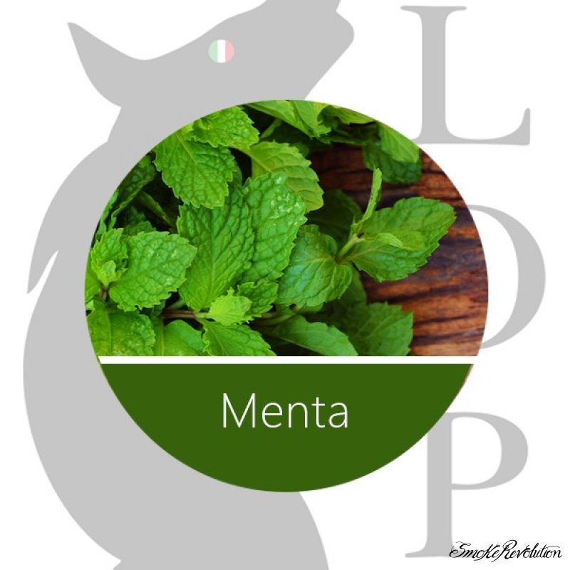 Menta