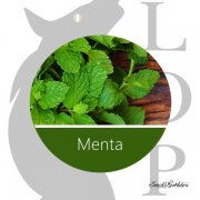 Menta