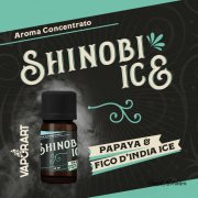 Shinobi Ice