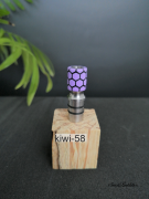 kiwi-58