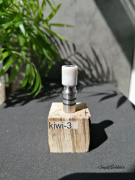 kiwi-3