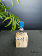 kiwi-36
