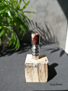 kiwi-46
